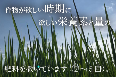 【令和5年産】【12ヶ月連続お届け】【特別栽培米】福井県産 コシヒカリ 10kg ～化学肥料にたよらない有機肥料100%～ ネオニコフリー （白米） [O-13401_01]