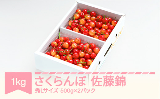 【先行予約】 さくらんぼ 佐藤錦 秀Lサイズ プレゼント ギフト バラ詰め 1kg(500g×2パック) 2027年産 令和9年産 山形県産 ns-snslb1