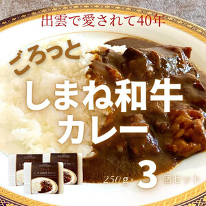 ごろっと しまね和牛カレー3食セット【1_5-020】