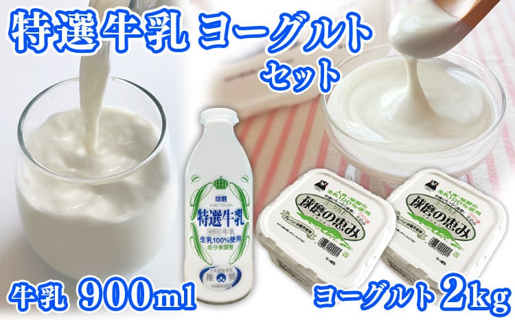 特選牛乳・球磨の恵みヨーグルト(砂糖不使用1kg×2)セット【牛乳900ml：賞味期限　到着後6日】
