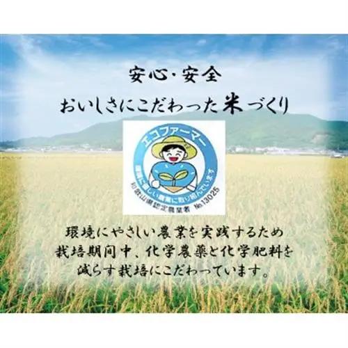 ★令和8年産 新米★ にじのきらめき ＆ きぬむすめ 各2kg(計4kg) 食べ比べセット【1659488】