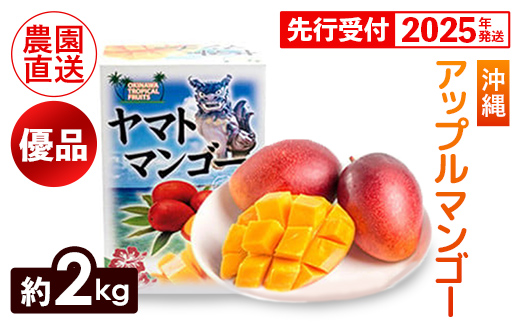 【化粧箱入】【先行受付・2025年発送】ヤマト農園 アップルマンゴー約2kg（優品）- 先行予約 沖縄県産 産地直送 南国フルーツ 旬の味覚 季節の果物 贈り物 ギフト 沖縄県 八重瀬町