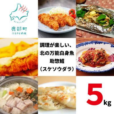 ふるさと納税 鹿部町 北海道産 冷凍スケソウダラ 5kg SM92