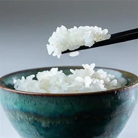 霧ヶ峰高原からの美しい伏流水が育んだお米「信州茅野　米沢吉田米」精米 5kg_ 精米 米    コシヒカリ 米 こしひかり_【1414571】