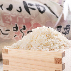 【令和6年 新米】 京都府与謝野町産「豆っこコシヒカリ」精米10kg　環境に優しく、美味しいお米【1561125】