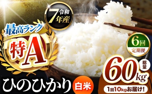 【 定期便 6回 】熊本県産 ひのひかり 白米 10kg | お米 米 こめ おこめ 精米 白米 ヒノヒカリ 10キロ ご飯 国産 国産米 定期 くまもと 熊本 熊本県 玉名市 玉名