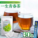 【ふるさと納税】【全6回定期便】一生青春茶 30包 サプリ サプリメント 神の草 日本山人参 ヒュウガトウキ ティーバッグ【ひなたふぁーむ】[YBG006]