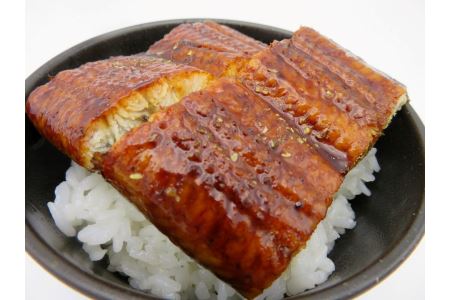 【到着日指定可能】九州産うなぎ白焼き2尾・蒲焼き2尾の2回定期便♪焼きたて直送！！YS0010