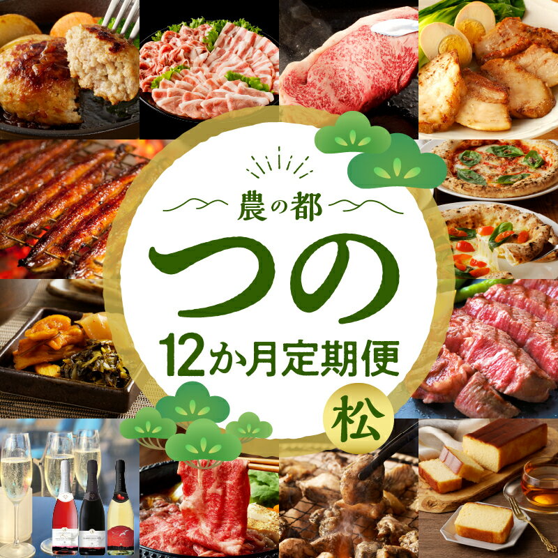 【ふるさと納税】都農町の特産品詰め合わせ定期便！ 12か月 お楽しみ 定期便 都農町 定期便(松) 12回 牛肉 豚肉 鶏肉 うなぎ 蒲焼 鰻 ハンバーグ 漬物 お菓子 ヒレ ステーキ ピザ しゃぶしゃぶ 唐揚げ ワイン すき焼き お酒 国産 人気 宮崎県 送料無料