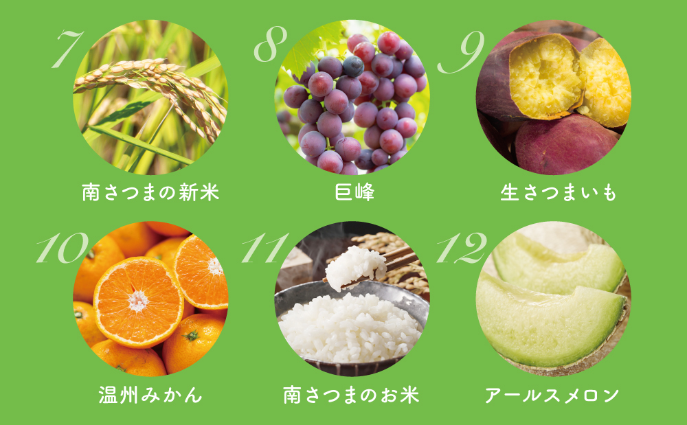 【定期便】南国の恵み 旬のフルーツ・野菜定期便（全12回）