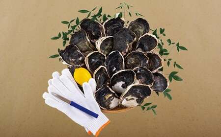 九十九島かき本舗岩がきA  夏牡蠣 生牡蠣 殻付き牡蠣 ブランド牡蠣 牡蠣 　