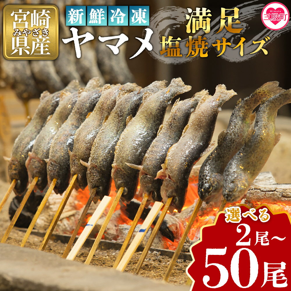 【ふるさと納税】選べる内容量＜新鮮冷凍ヤマメ 2尾/10尾/30尾/50尾＞ 選べる 数量 国産 九州産 尺ヤマメ 山女魚 水産物 魚 魚介 川魚 養殖魚 塩焼き 夏ギフト お中元 手土産 【MI770-sk】【有限会社しゃくなげの森】