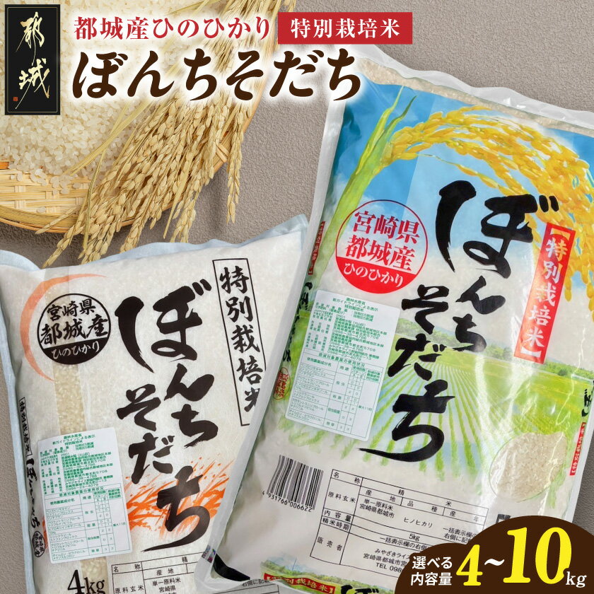 【ふるさと納税】【内容量が選べる！】都城産ひのひかり特別栽培米「ぼんちそだち」 - 都城産 ひのひかり 特別栽培米ぼんちそだち 選べる内容量 4kg/5kg/10kg お米 お弁当 単一原料米 精米 送料無料 SKU-N501 【宮崎県都城市は2年連続ふるさと納税日本一！】