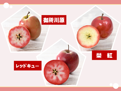 中まで赤～いりんごチップス 25g×2袋 ノンフライ【Akarin5チップス】 低温乾燥 御所川原 栄紅 レッドキュー 青森県五所川原市 おやつ
