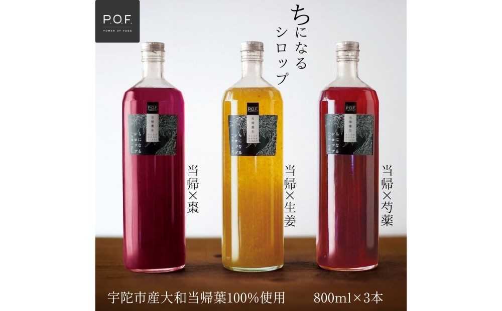 
            ちになるシロップ ＜大和当帰＞800ml × 3種セット ／ふるさと納税 芍薬 生姜 棗 シロップ 瓶 ガラス瓶 国産 食材 炭酸 大和当帰葉 有機 お湯割り 甜菜糖 ハチミツ はちみつ ち 奈良県 宇陀市 POWER OF FOOD 

          