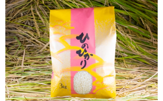 
            2025年秋収穫分 福岡県大川市産ヒノヒカリ 3kg【ギフト包装】
          