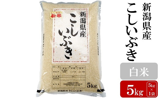 
            【令和7年産新米】こしいぶき 白米 5kg お米と共に200年の松村商店直送！[Y0257]
          