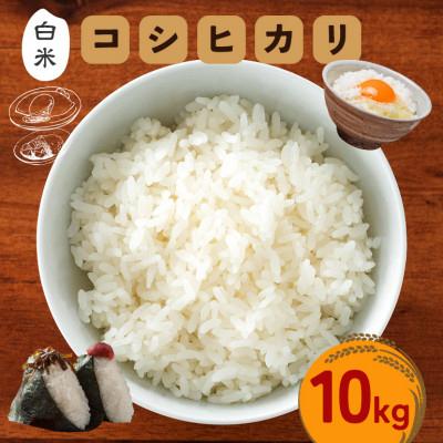ふるさと納税 笠間市 令和7年度 笠間産 コシヒカリ 10kg　精米