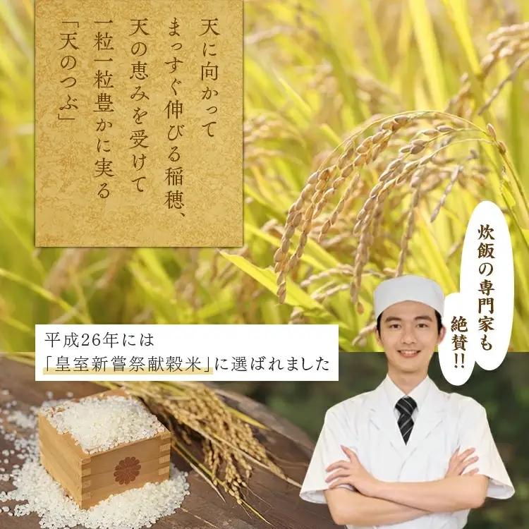 【令和8年産】【全3回定期便】米　国見町産　天のつぶ 10㎏(5㎏×2袋)　3回定期便 ※2026年10月～発送