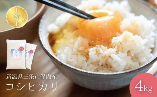 新潟県産コシヒカリ 1等米 4kg(2kg×2袋) 2025年産コシヒカリ 三条市保内産こしひかり 精米 白米 令和7年産 米 【012S135】