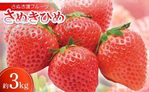 さぬき讃フルーツ「さぬきひめ」約3kg ＜令和8年1～4月発送＞【1609805】