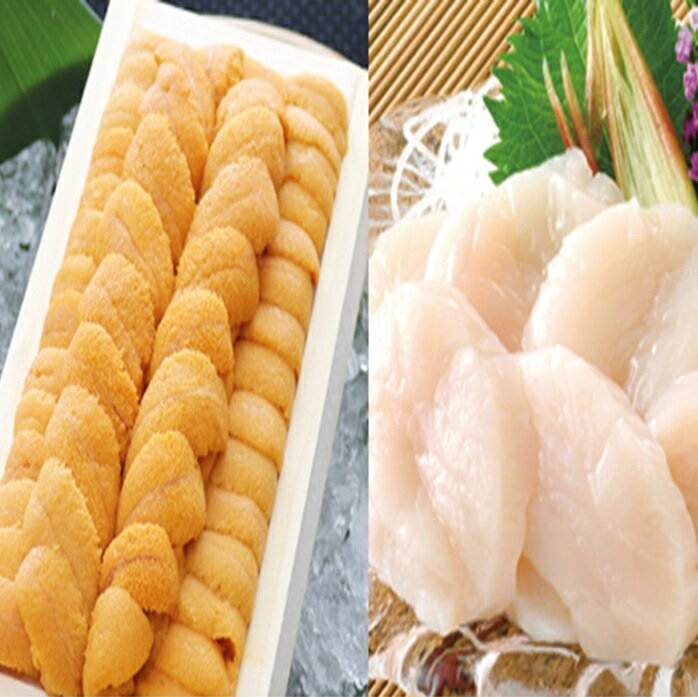 【ふるさと納税】 エゾバフンウニ140g×1折、お刺身ホタテ貝柱500g×1P[11月下旬以降順次発送] D-53029