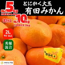 【ふるさと納税】みかん 大玉 どっこいしょ 箱込 5kg または 10kg 2Lサイズ以上 秀品 優品 混合 有田みかん 和歌山県産 産地直送 家庭用【みかんの会】 | フルーツ 果物 くだもの 食品 人気 おすすめ 送料無料