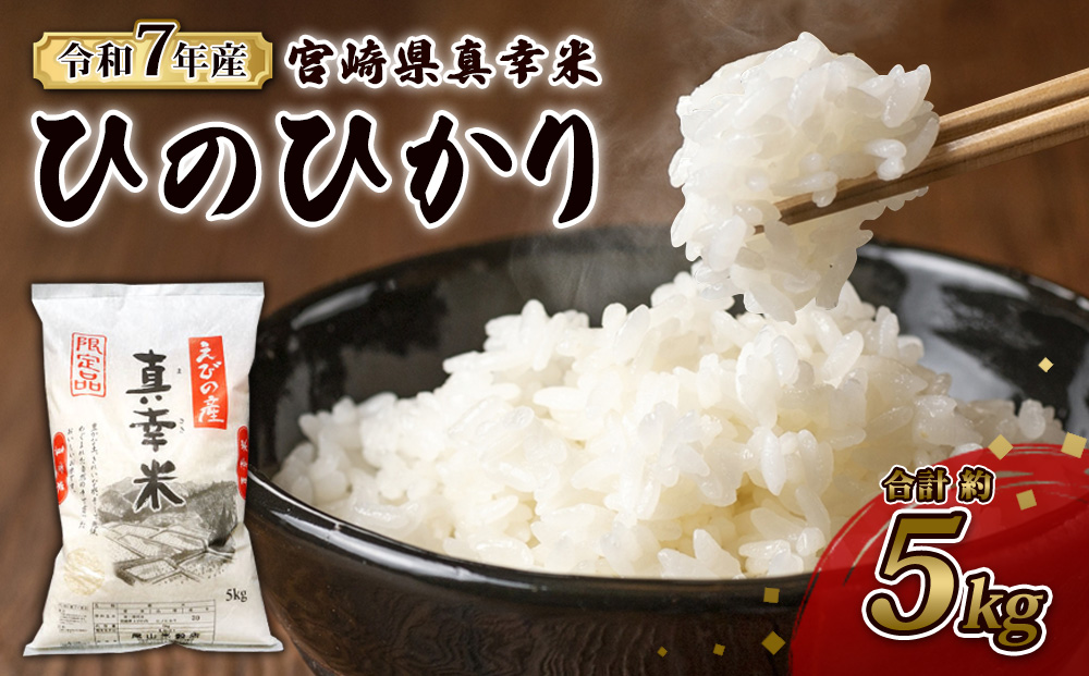 【令和7年度】限定品 えびの産 ヒノヒカリ 真幸米(まさきまい) 5kg 米 ひのひかり お米 精米 白米 おにぎり お弁当 宮崎県産 九州産 送料無料 冷めても美味しい