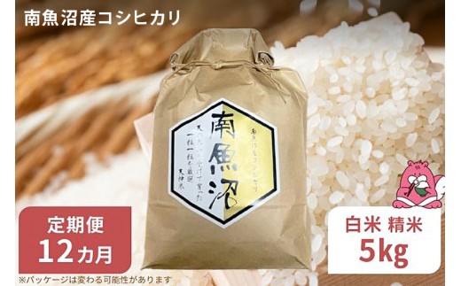 令和8年産 12か月定期便【白米5㎏/12回】越後湯沢産 南魚沼産 コシヒカリ 豪雪を源とする水の恵み【湯沢産 コシヒカリ】