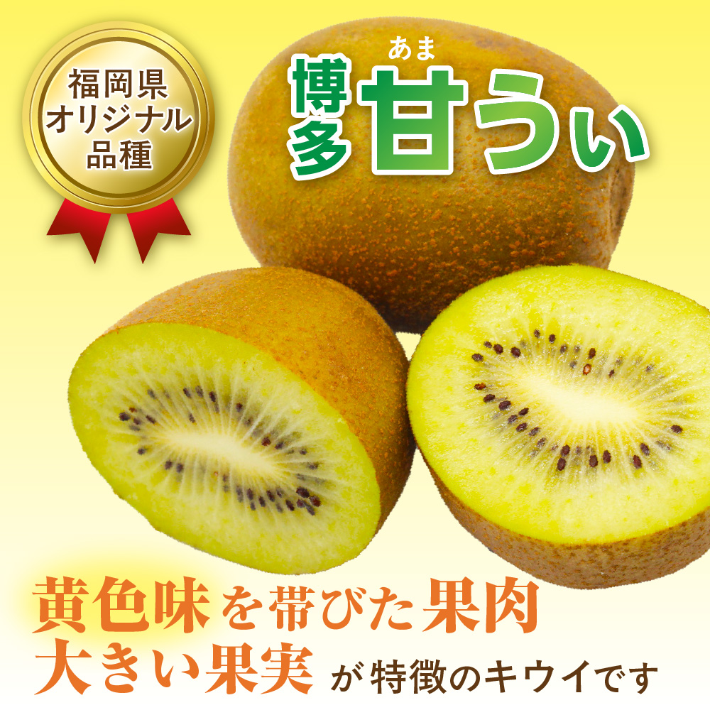 【ギフト】福岡県ブランド！キウイフルーツ「博多甘うぃ」約1.4kg化粧箱入り【ほたるの里】_HA0943