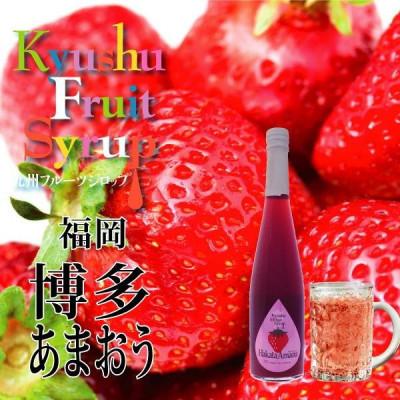ふるさと納税 水俣市 九州を飲む! 九州果実 シロップ あまおう 500ml 1本 【福田農場】