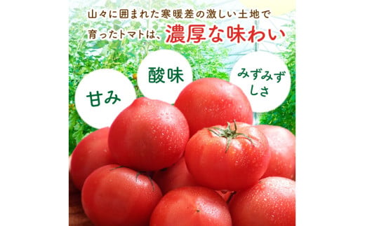 【先行予約】京丹後産 大玉トマト 1kg以上 春夏発送（2026年5月中旬～発送）