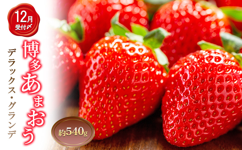 いちご 2パック 計約540g 博多あまおう デラックス グランデ セット 詰め合わせ おまおう 苺 イチゴ 果物 くだもの フルーツ 旬のフルーツ 季節の果物 福岡 福岡県 大刀洗町 お申込：2025年12月末迄