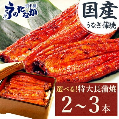 【ふるさと納税】国産うなぎ長蒲焼【2本/3本】_ うなぎ ウナギ 鰻 国産 蒲焼 蒲焼き かばやき 土用 丑の日 静岡県 たれ 山椒 美味しい 簡単調理 レンジ調理 うな重 ひつまぶし 産地直送 贈答 ギフト 冷凍 送料無料【配送不可地域：離島】【G1417629】