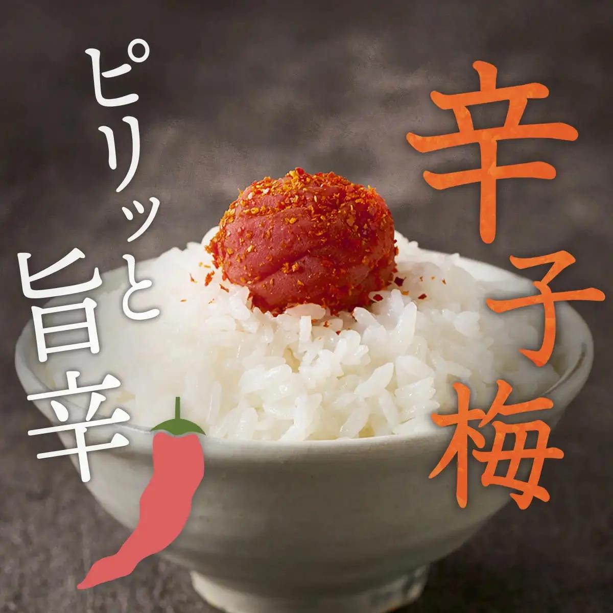 紀州産南高梅 梅干し 辛子梅 400g 塩分8% 中田食品 梅干 和歌山
