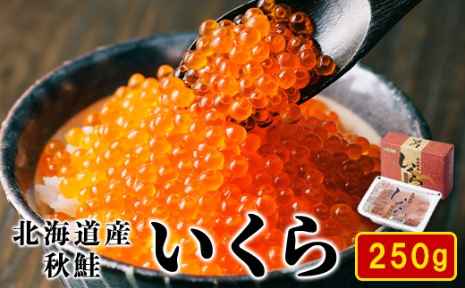 
            【2024年新物】北海道産いくら 醤油漬け 250g 鮭いくら 秋鮭 
          