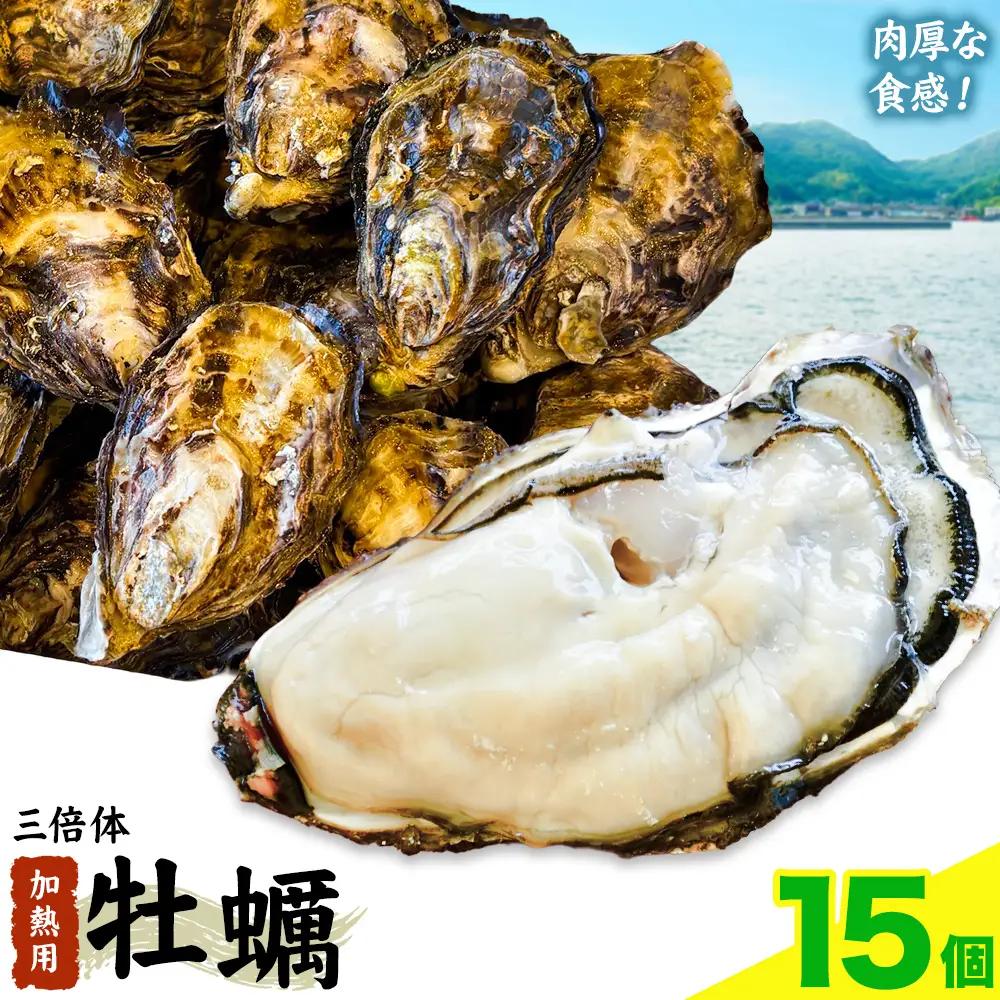 牡蠣 TAKIOKAプレミアム 三倍体 (加熱用) 15個 牡蠣