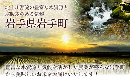 令和7年産岩手町産銀河のしずく精米10kg 米 ごはん 新鮮 銘柄 農家直送