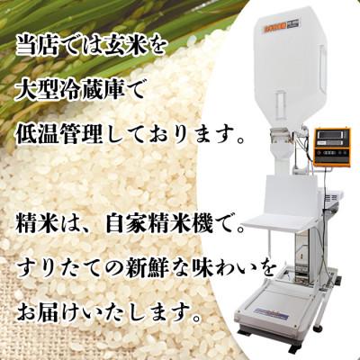 ふるさと納税 上越市 上越産　こしひかり 5kg(精米) |  | 02