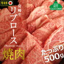 【ふるさと納税】A4A5等級 黒毛和牛 宮崎牛リブロース焼肉500g 牛肉 ロース BBQ バーベキュー 真空 冷凍 内閣総理大臣賞受賞 宮崎県産 送料無料（36-188）