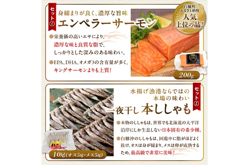栄三郎商店海産物セット_イメージ3