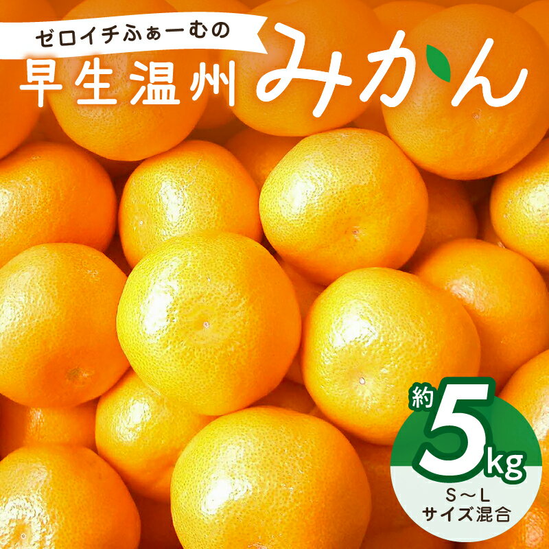 【ふるさと納税】ゼロイチふぁーむ みかん 早生温州みかん 約5kg【年中みかんのとれるまち御浜町】