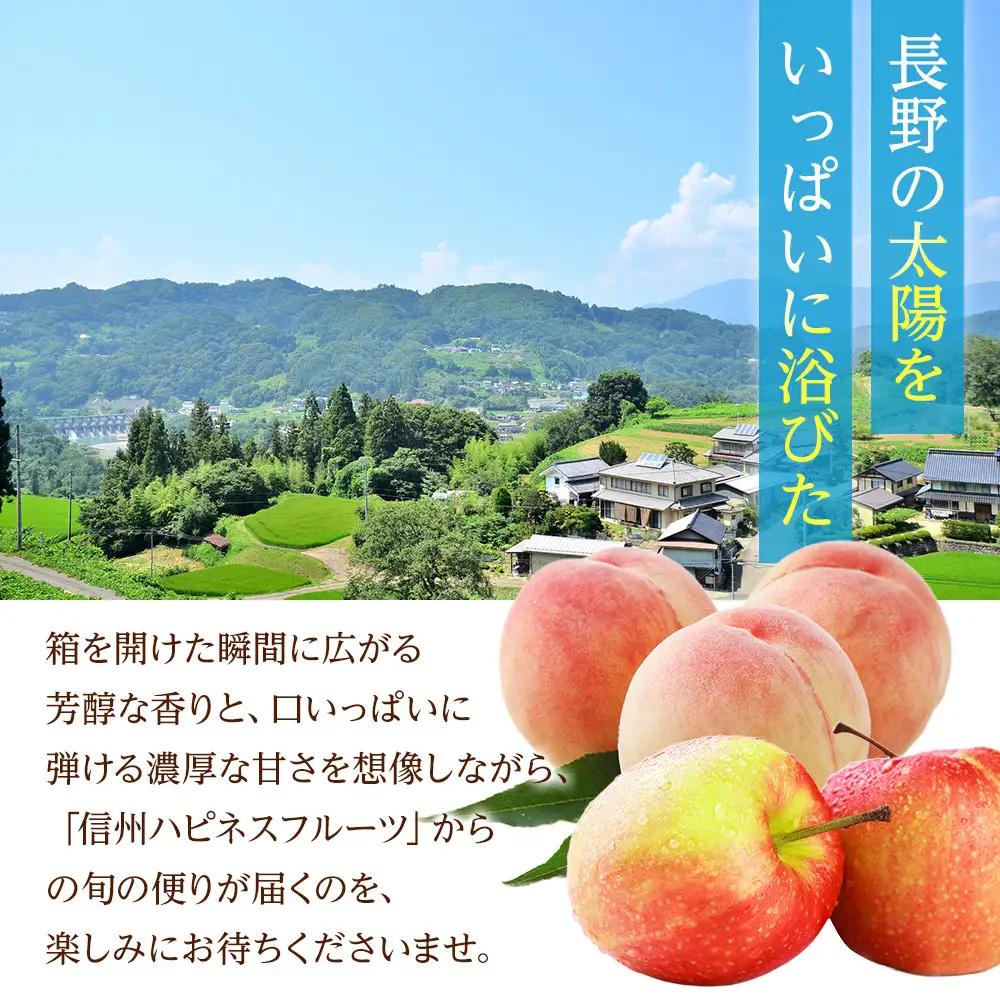 【※2027年8月発送分　先行受付】【訳あり】川中島白鳳 2kg長野市産 産地からクール便お届け | 桃 桃