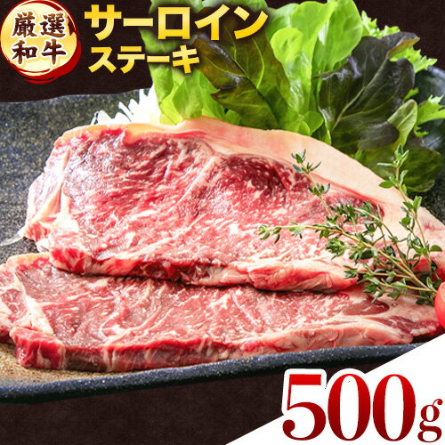 【ふるさと納税】ステーキ 赤身 牛肉 サーロインステーキ 送料無料 あか牛 小分け 熊本県産 500g ( 250g x 2枚 ) 小分け 個包装 ステーキ肉 あかうし 赤牛 あか牛丼 にも ジューシー 焼肉 《30日以内に出荷予定(土日祝除く)》