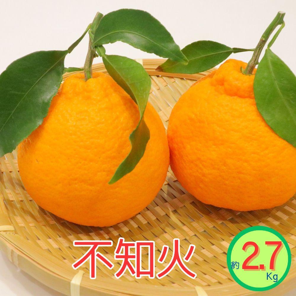 【ふるさと納税】＜先行受付　2026年発送＞不知火　約2.7kg | フルーツ 果物 くだもの 食品 人気 おすすめ 送料無料