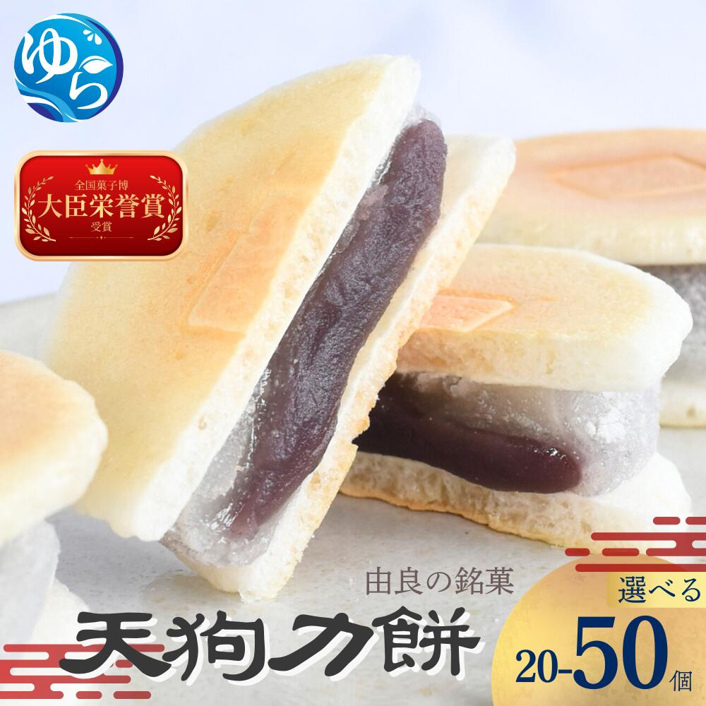 【ふるさと納税】＼レビューキャンペーン中／老舗の味 天狗力餅【選べる個数】20個・25個・30個・50個 和菓子 力もち こし餡 職人の手作り | お土産 ご当地 由良町 お取り寄せ もち 餡 あんこ 人気 おすすめ 食品 和歌山