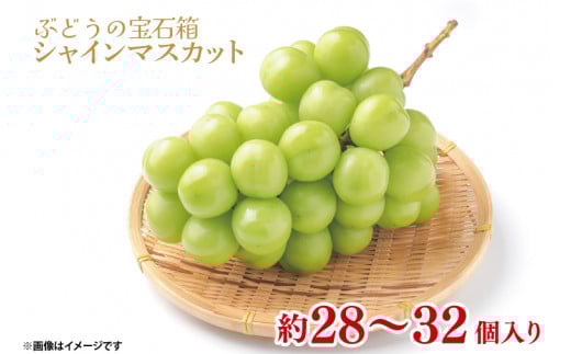 【数量限定！】【先行予約】【シャインマスカット粒どり】ぶどうの宝石箱 【シャインマスカット 粒どり 茨城県 鹿嶋市 葡萄 ブドウ】（KAE-6）