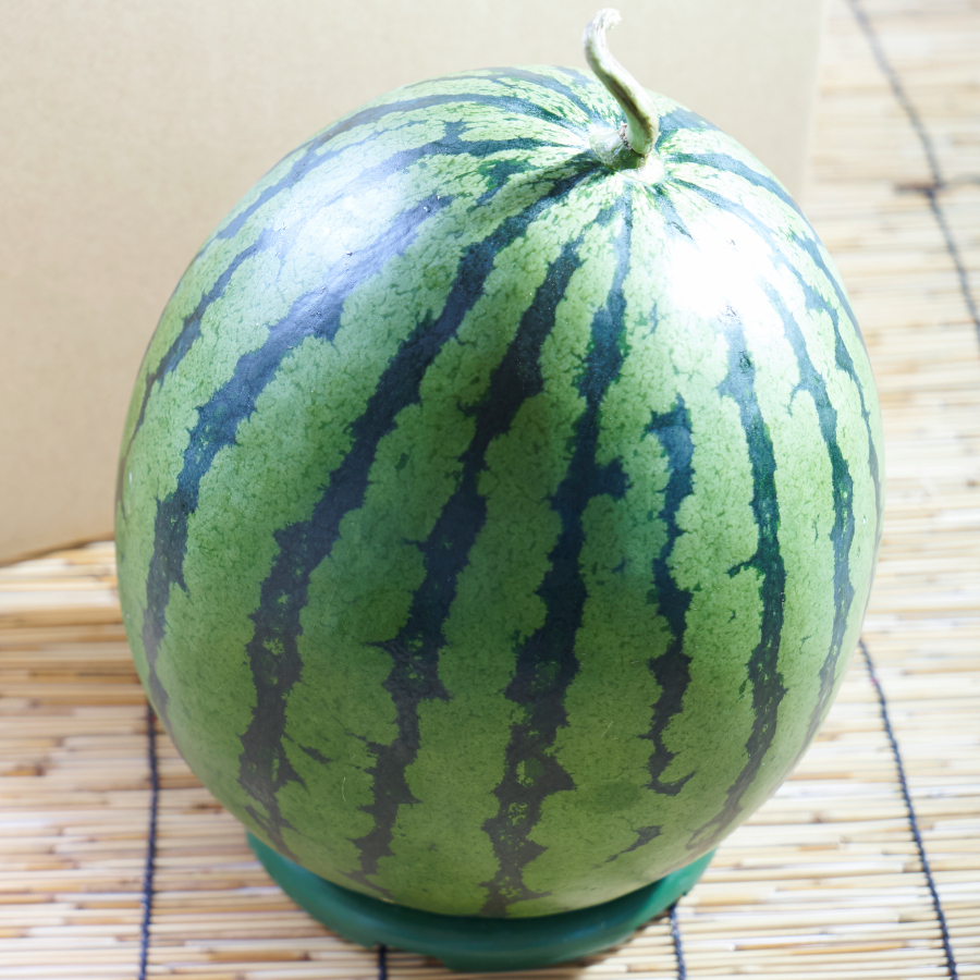 『岩田屋本店・南国フルーツ』大分・日田産天領西瓜1玉