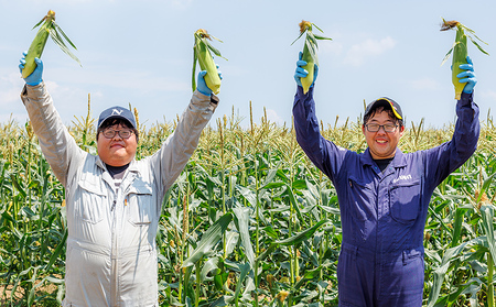 北海道産ホワイトコーン 計6本 上士幌町須田農場 白いスイートコーン とうもろこし ◆2025年08月配送予定