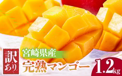 《2025年発送》宮崎県産 訳あり完熟マンゴー 1.2kg_M320-005